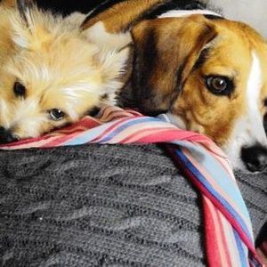 Meet your Posher, Yumiko